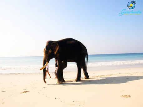 5 nights 6 days andaman package